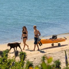 HOBIE TRAX 2 PLUG-IN KAYAK CART  80044101 KANO TAŞIMA ARACI