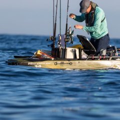 HOBIE LIVEWELL XL