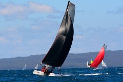 HOBIE WILD CAT YELKENLİ SPORTİF KATAMARAN