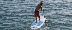 TAHE MARINE 11'6 BREEZE WIND SUP&SURF BOARD SERT SUP KÜREK SÖRFÜ VE RÜZGAR SÖRFÜ
