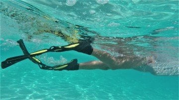 TAHE MARINE FINBOARD X3 L/XL YÜZME YARDIMCISI BOARD